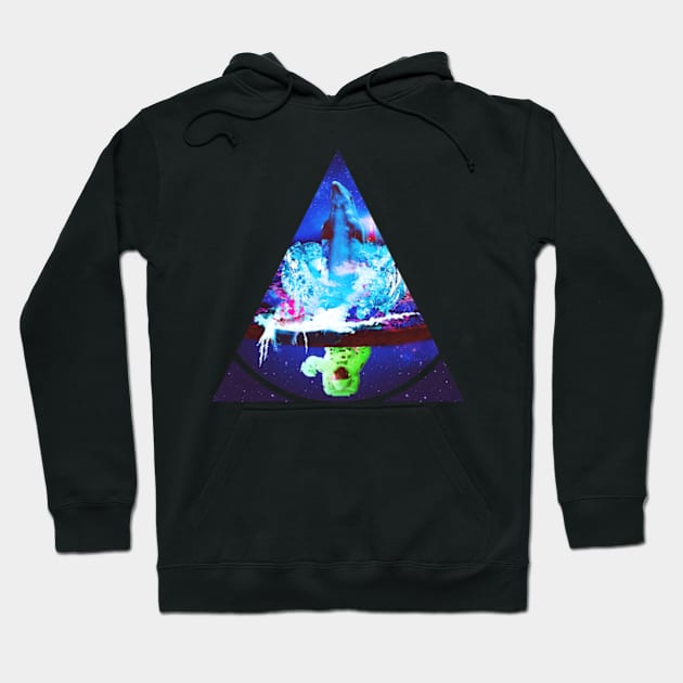 Flat earth Hoodie by Frajtgorski